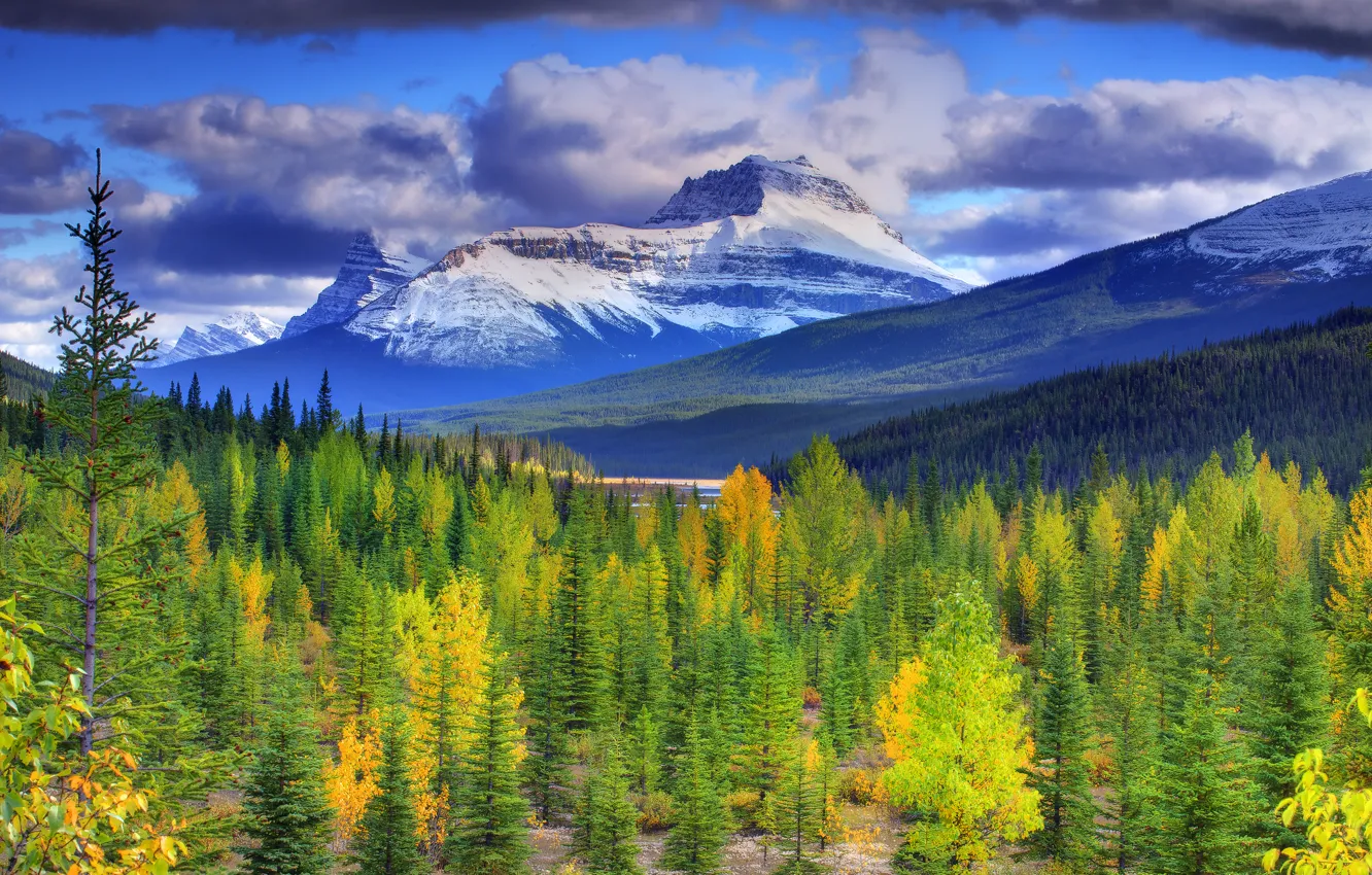 Photo wallpaper autumn, forest, the sky, snow, trees, mountains, lake, Canada