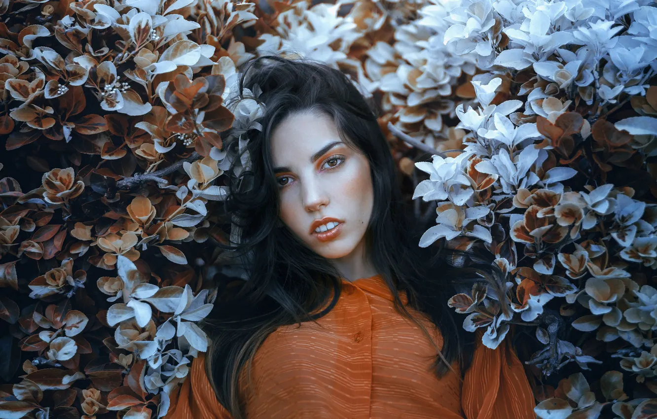 Photo wallpaper makeup, sponge, SUMMER