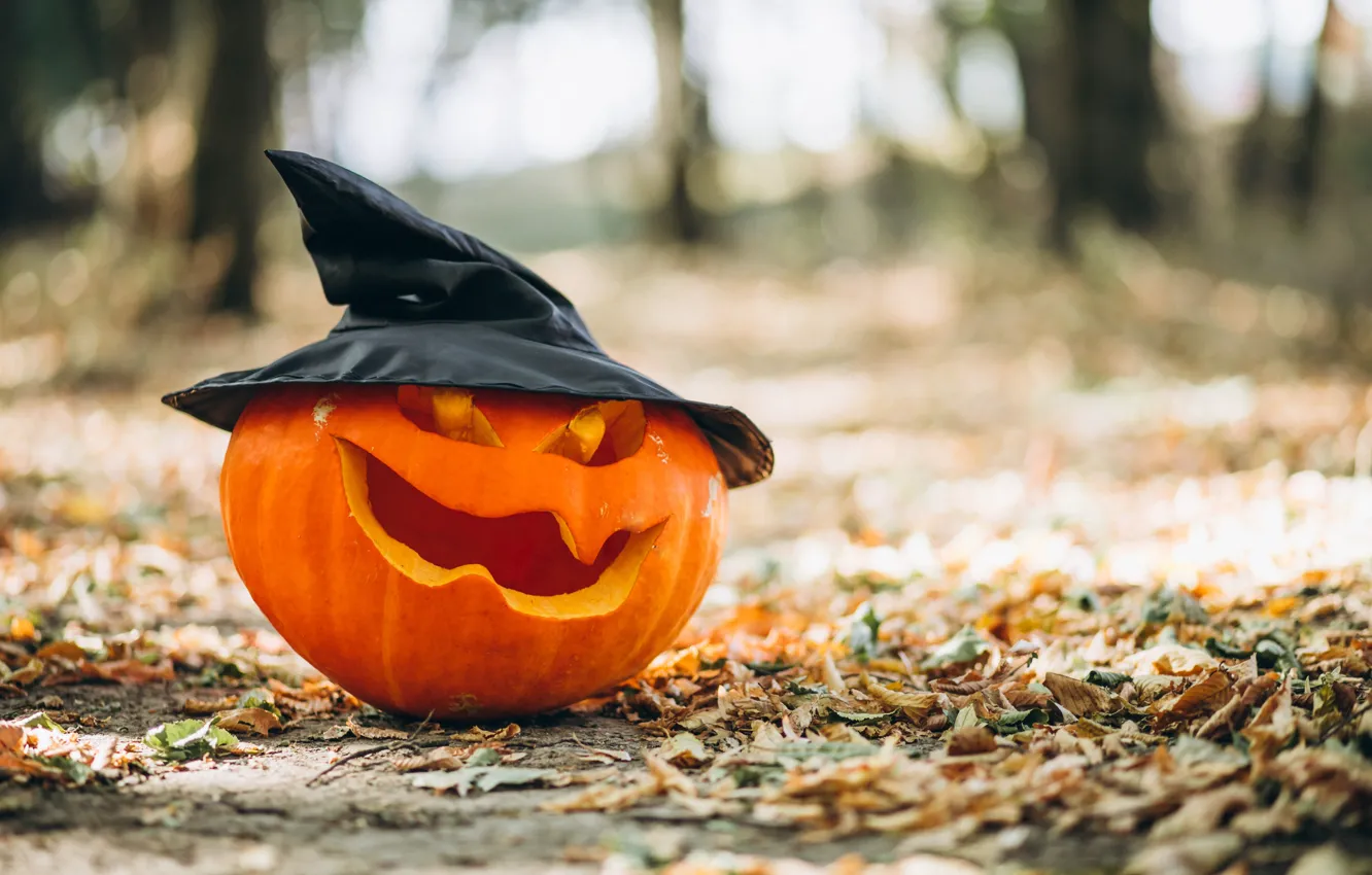Photo wallpaper autumn, leaves, smile, hat, Halloween, pumpkin, Halloween, hat