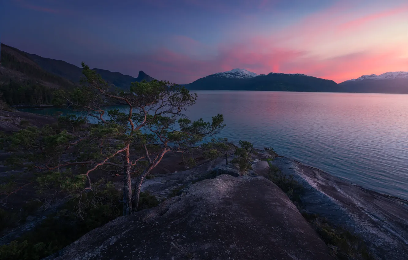 Photo wallpaper sunset, mountains, Norway, pine, Norway, the fjord, Hardanger, Hardanger