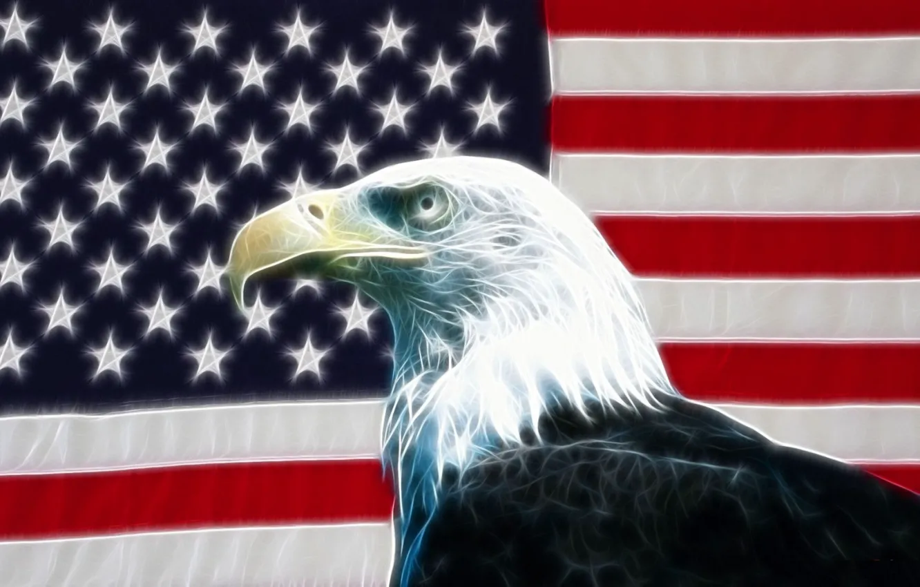 Photo wallpaper eagle, flag, USA, USA, effects