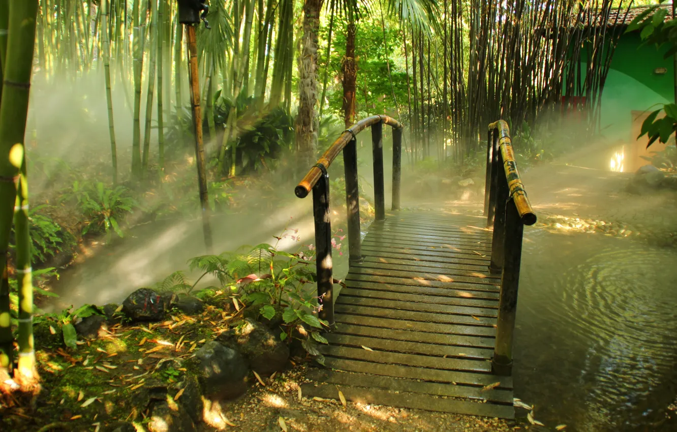 Photo wallpaper bridge, nature, fog, Park, photo, bamboo, Italy, Lombardia