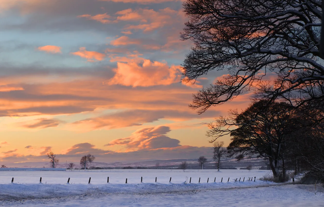 Photo wallpaper winter, snow, trees, landscape, sunset, nature