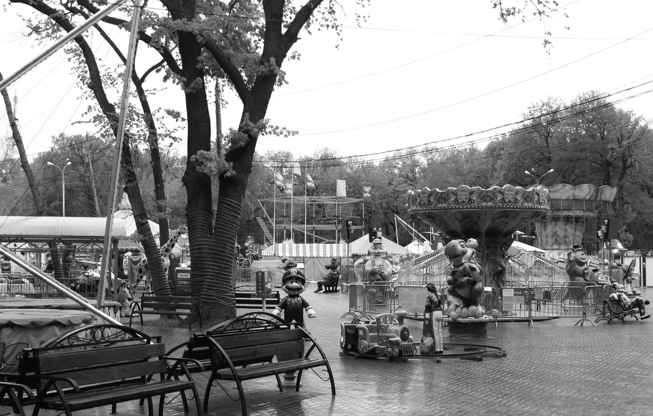 Photo wallpaper trees, the city, black and white, spring, rides, Russia, monochrome, Samara