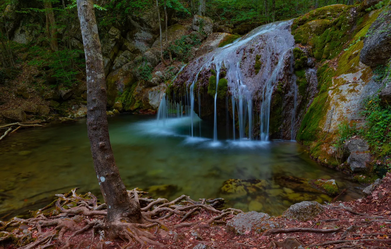 Photo wallpaper roots, river, tree, waterfall, Russia, Crimea, The Gorge Haphal, Waterfall Jur-Jur