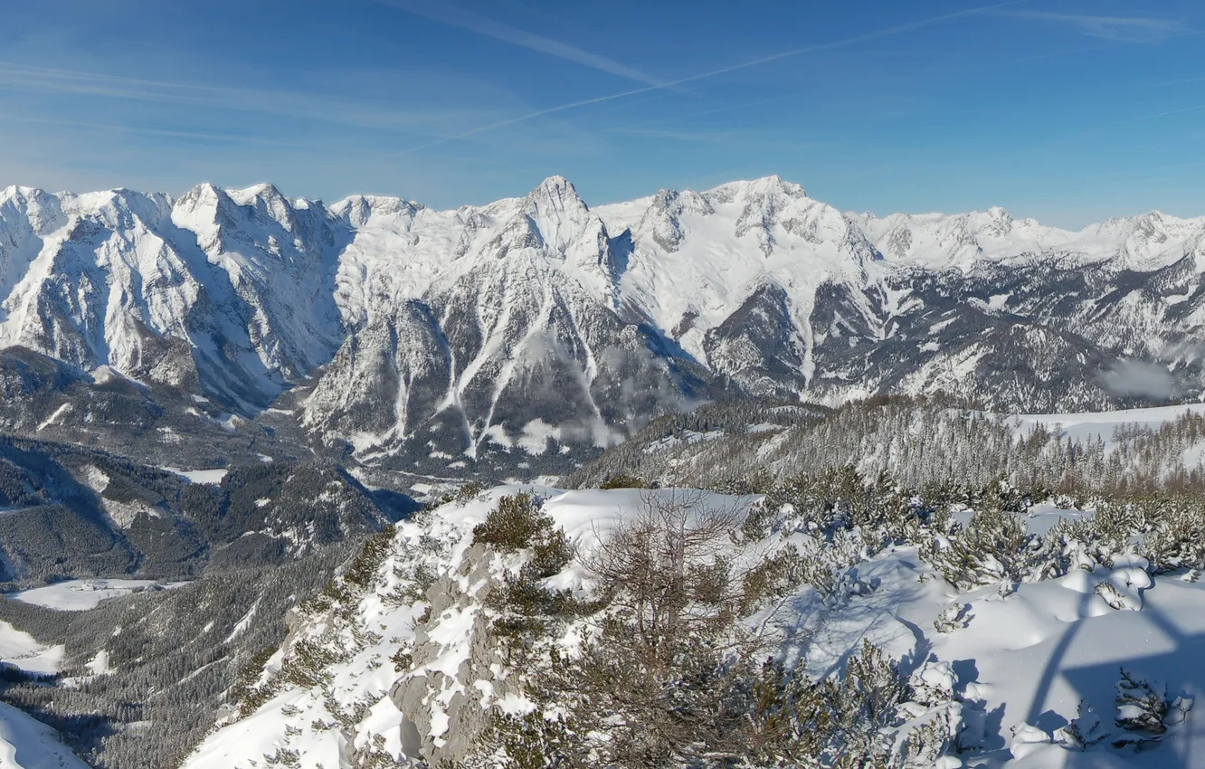 Photo wallpaper winter, forest, the sky, snow, trees, landscape, mountains, nature