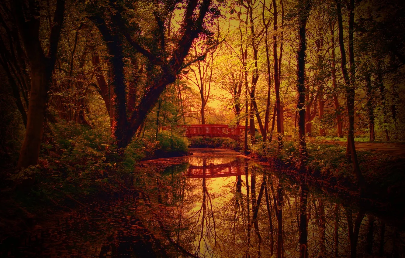 Photo wallpaper autumn, nature, Park, channel, the bridge