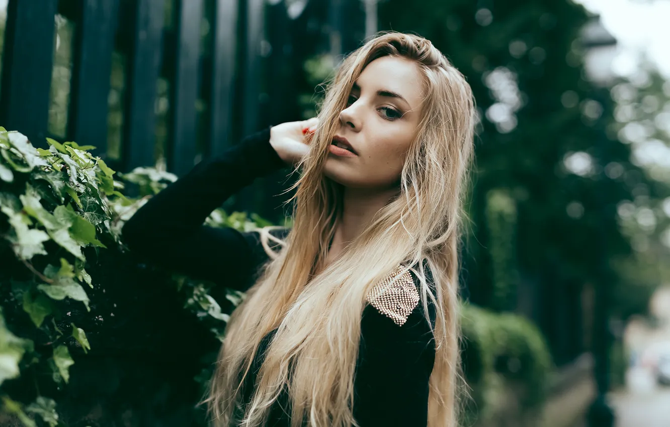 Photo wallpaper look, girl, face, model, hair, Cassandra