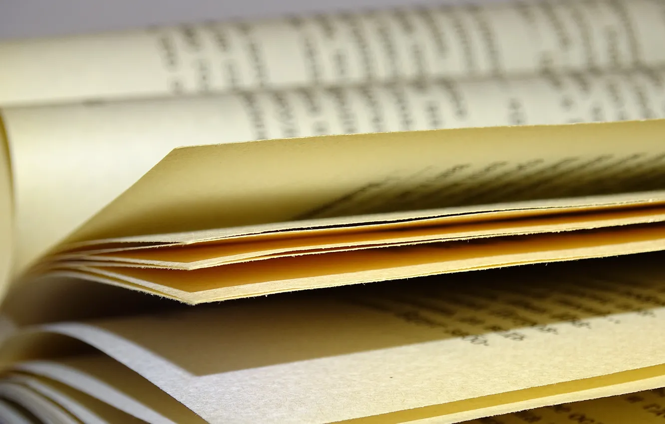 Photo wallpaper macro, book, page