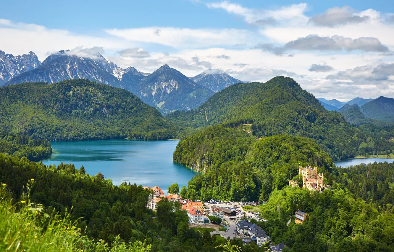 Photo wallpaper forest, lake, castle, Germany, Alps, Hohenschwangau, Hohenschwangau Castle