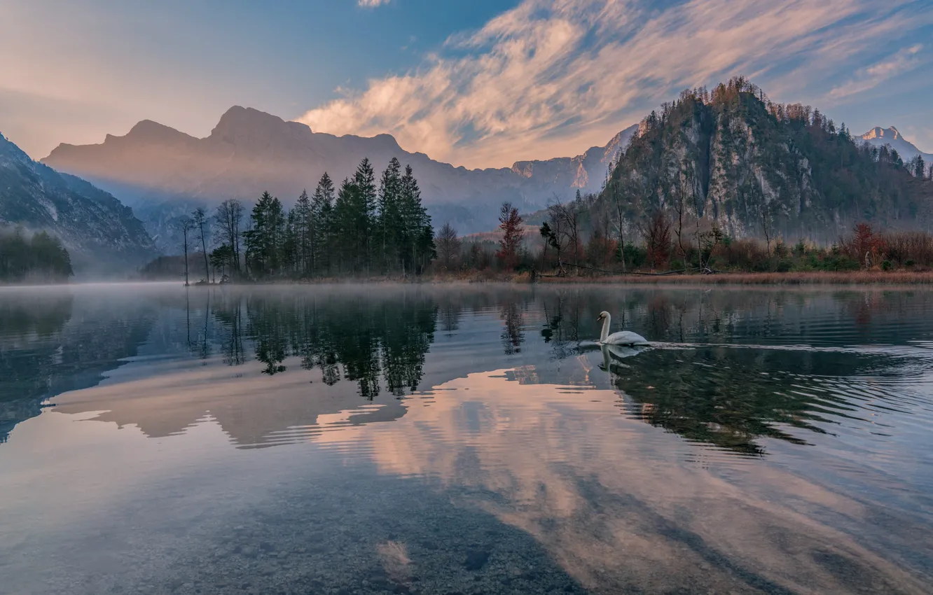 Photo wallpaper landscape, mountains, nature, lake, reflection, Austria, Swan, Almsee