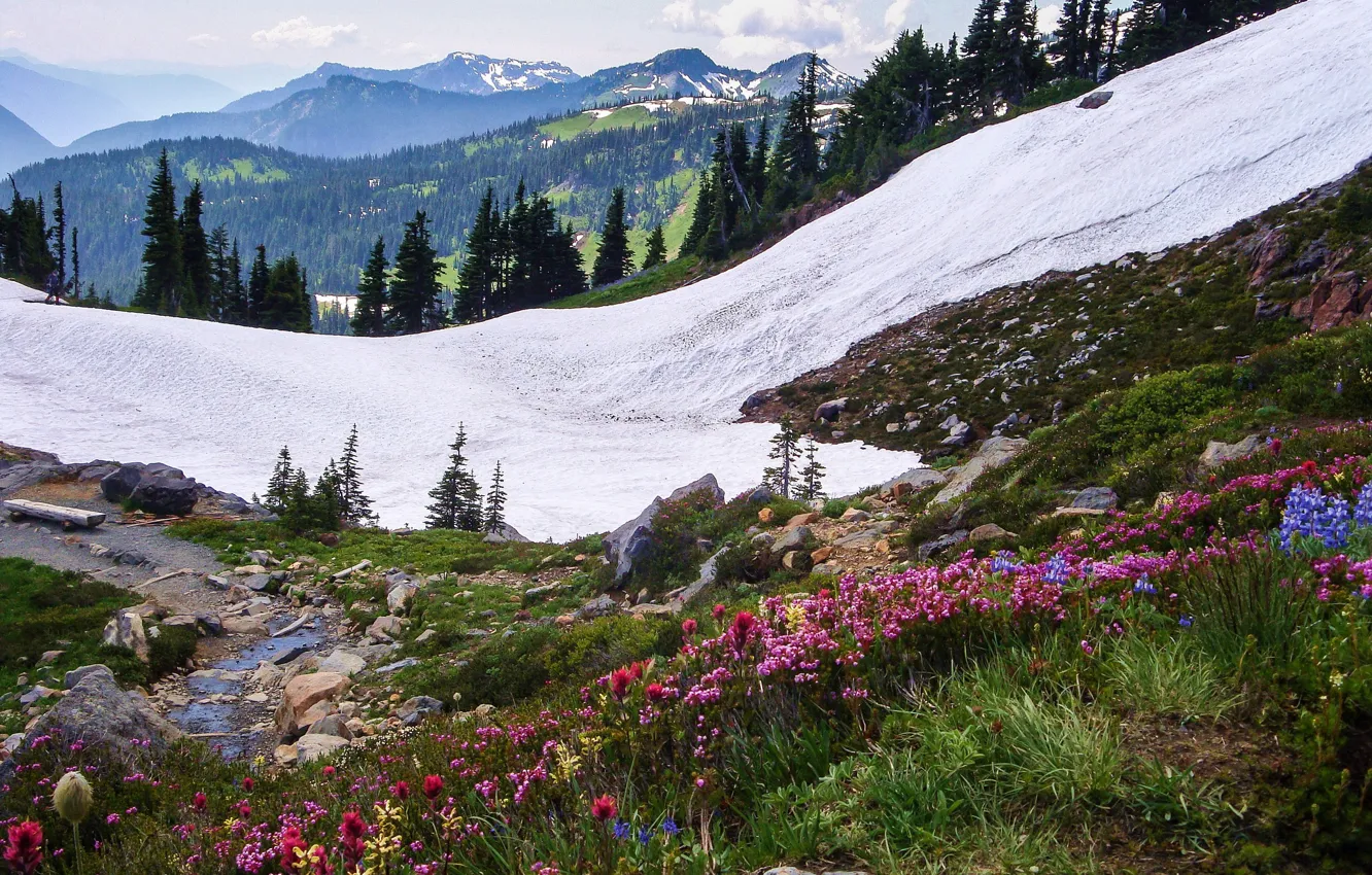 Photo wallpaper Flowers, Nature, Mountains, Trees, Snow, Landscape