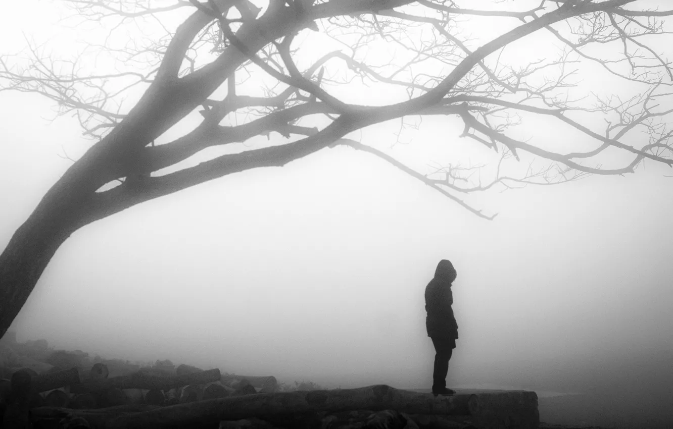 Photo wallpaper misty, tree, solitude, loneliness, branches, person, foggy, gloomy