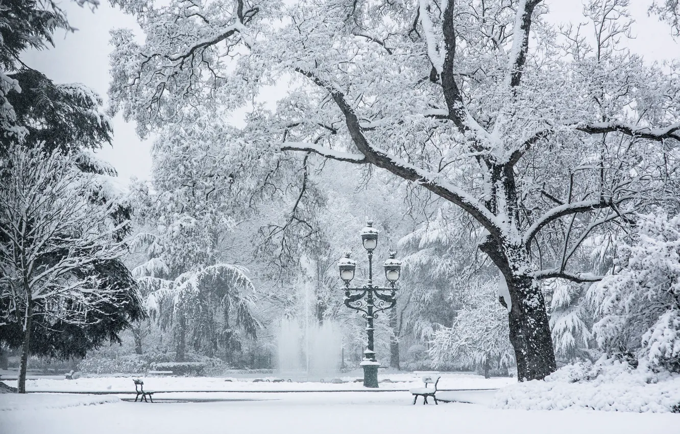 Photo wallpaper cold, winter, snow, trees, bench, lamp, area, fountain