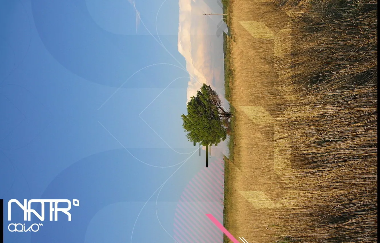 Photo wallpaper field, nature, figure