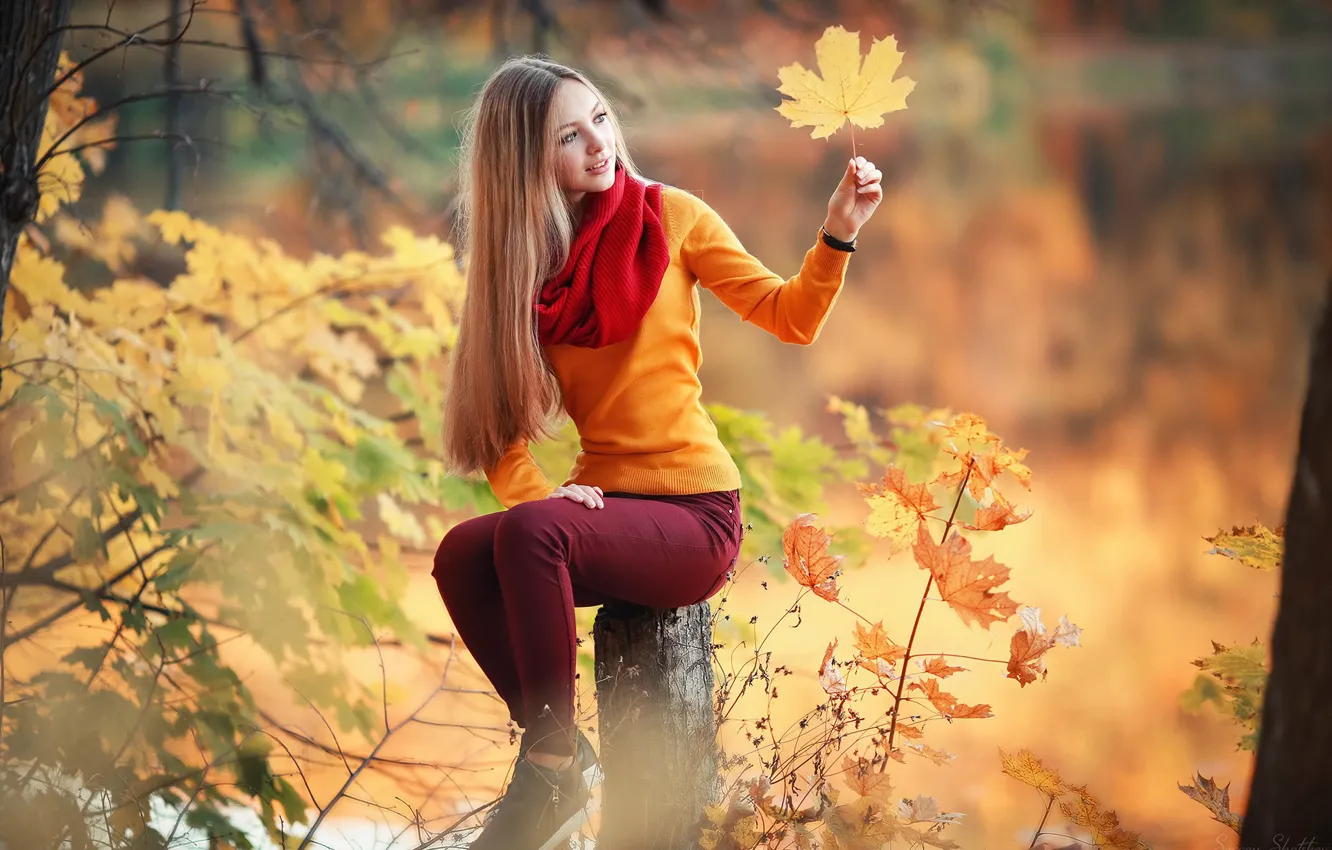 Photo wallpaper girl, forest, long hair, trees, photo, photographer, blue eyes, autumn