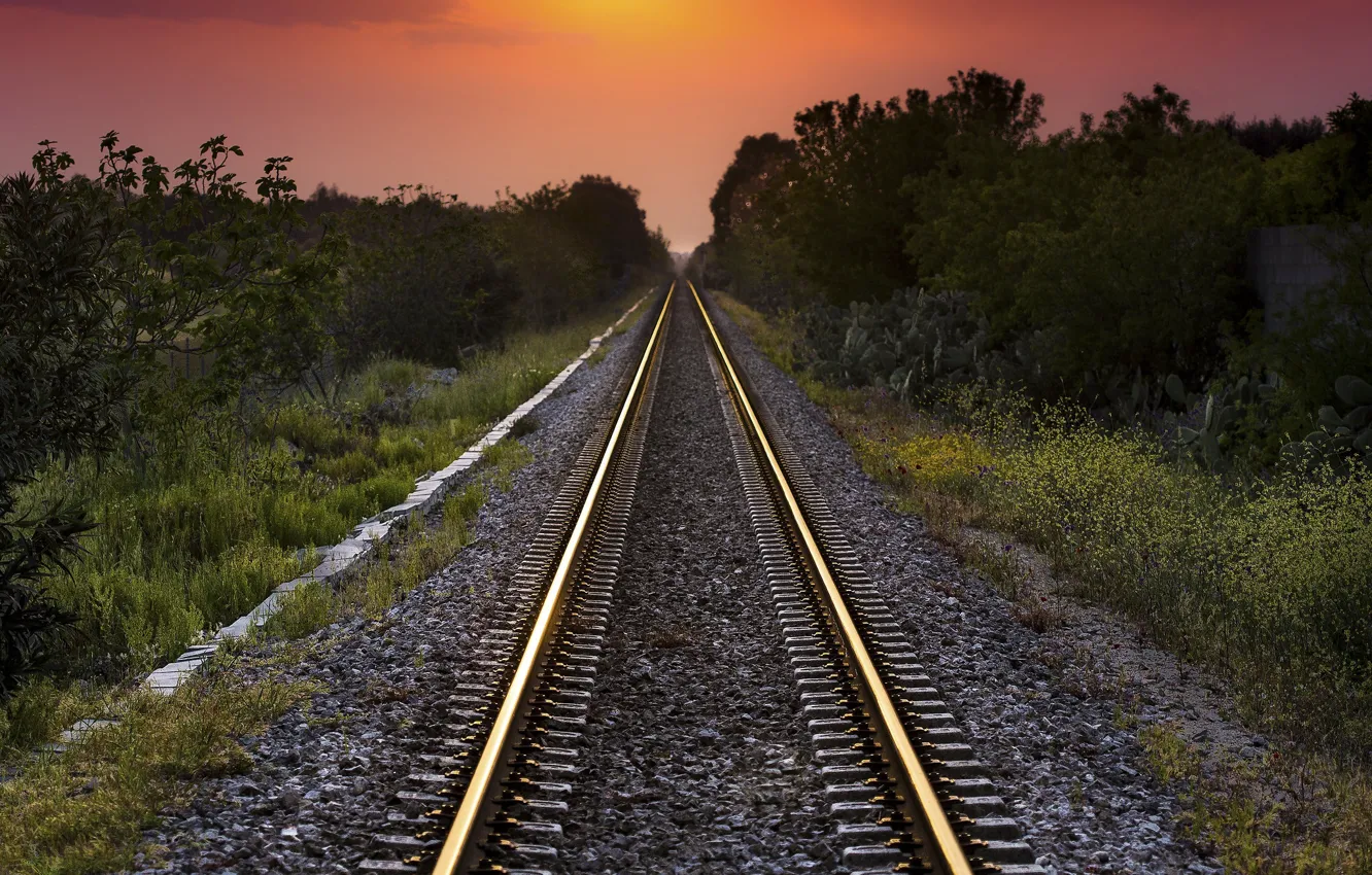 Photo wallpaper sunset, nature, railroad