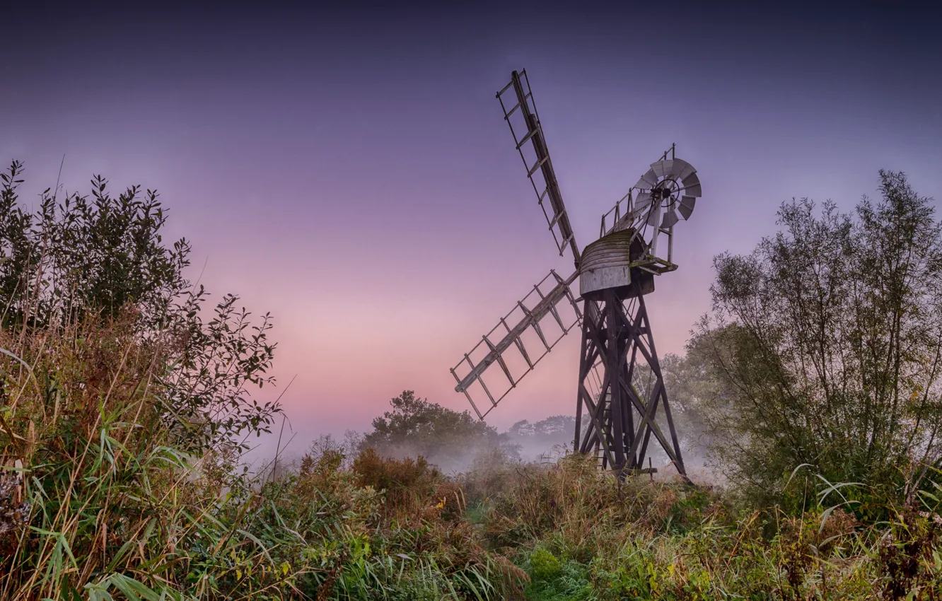 Photo wallpaper grass, landscape, nature, fog, dawn, England, morning, mill