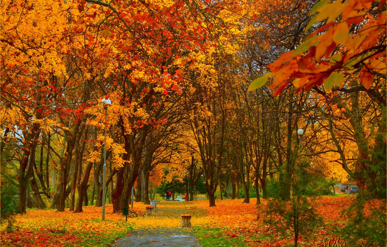 Photo wallpaper Autumn, Trees, Lights, Park, Fall, Park, Autumn, Colors