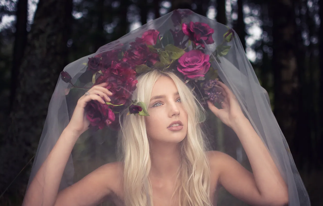 Photo wallpaper girl, roses, veil