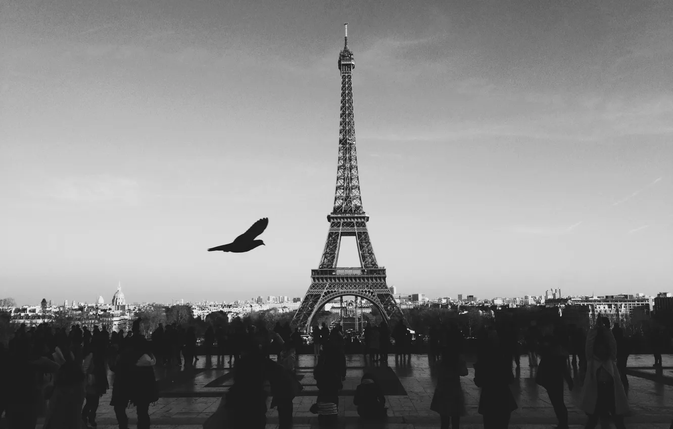Photo wallpaper stay, bird, France, Paris, people, Eiffel tower