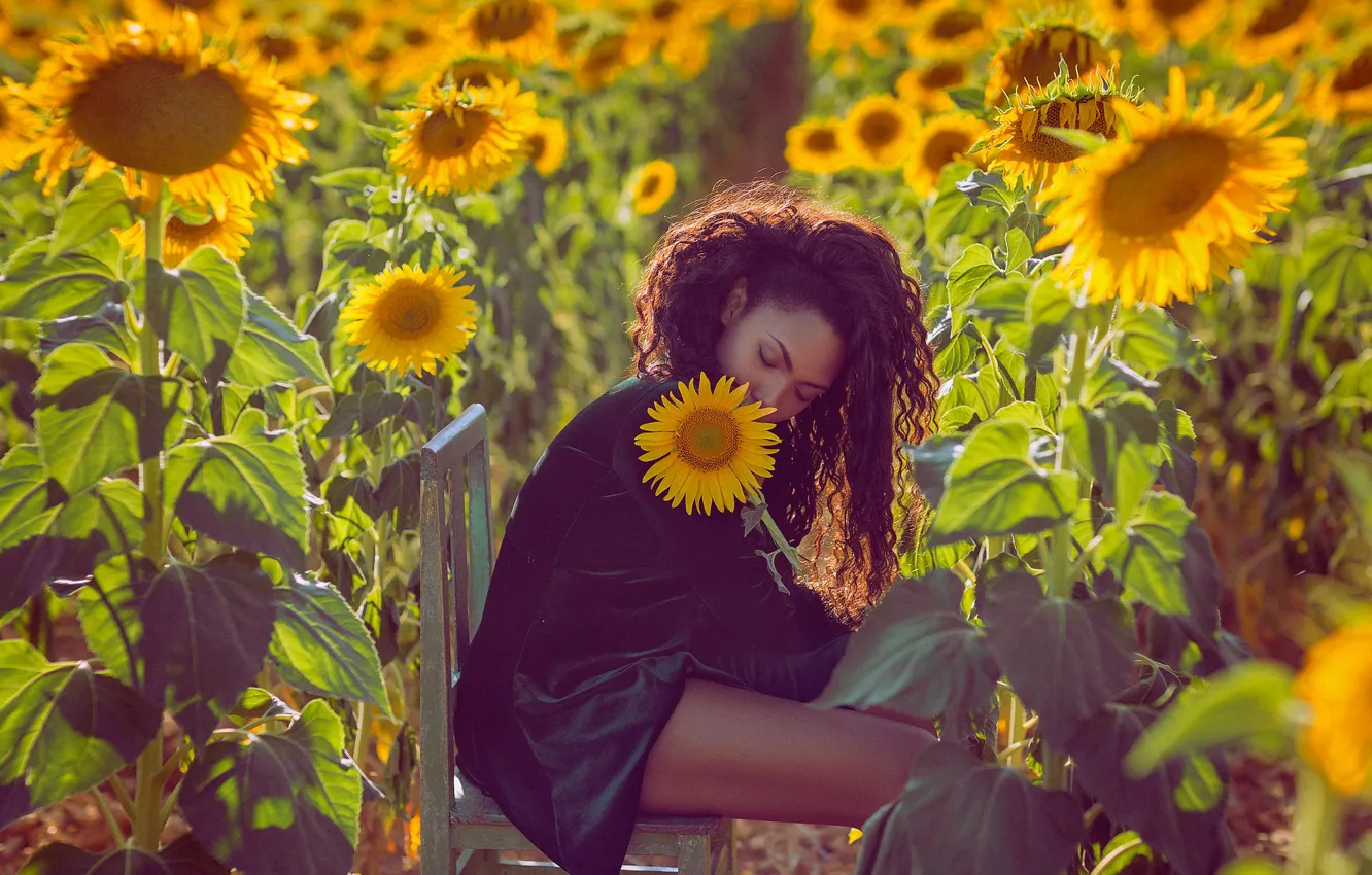 Photo wallpaper field, girl, sunflowers, mood, chair