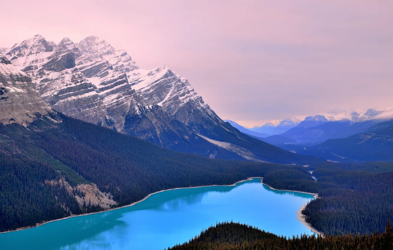 Photo wallpaper forest, snow, mountains, nature, river, tops