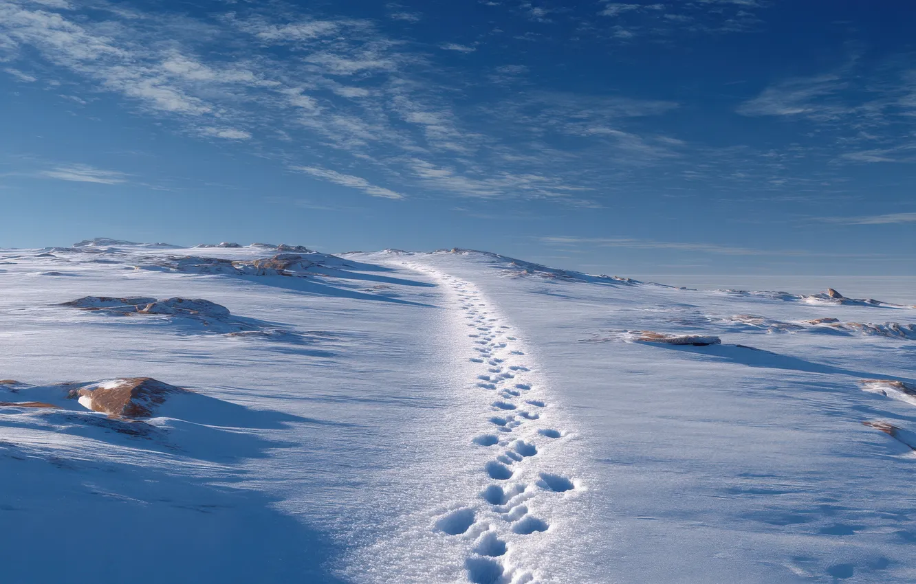 Photo wallpaper winter, field, the sky, clouds, light, snow, traces, blue