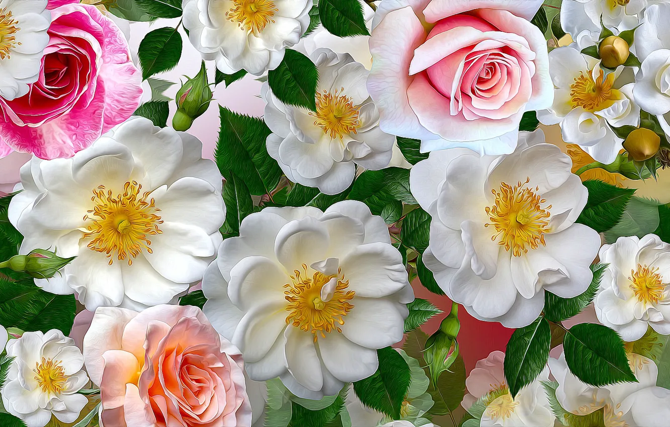 Photo wallpaper Graphics, Flowers, Roses, White