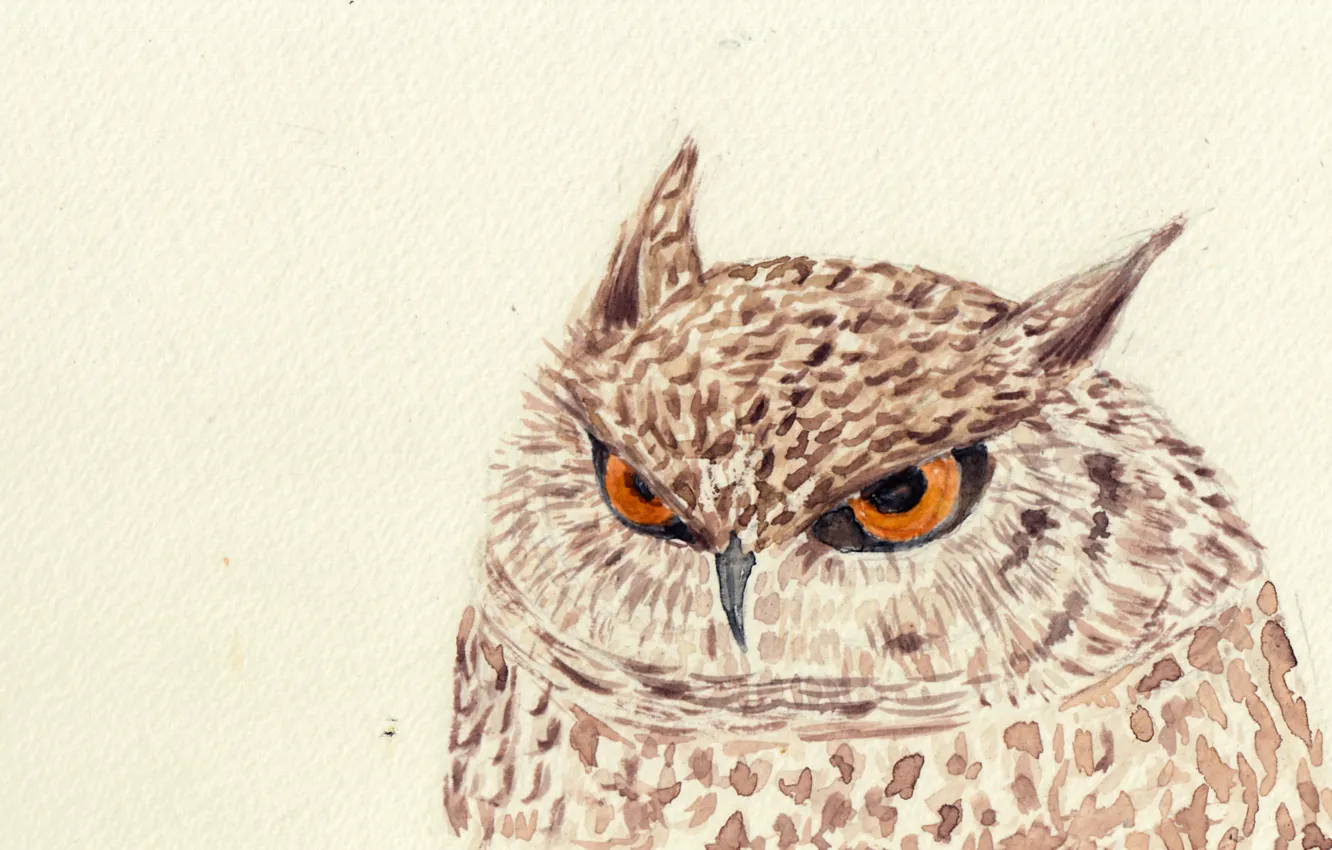 Photo wallpaper owl, bird, figure