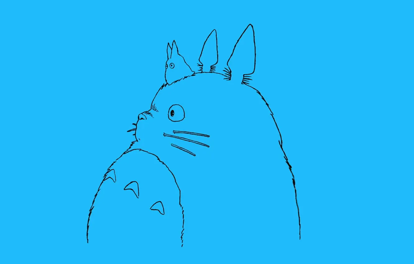 Photo wallpaper eyes, blue, ears, totoro, Totoro