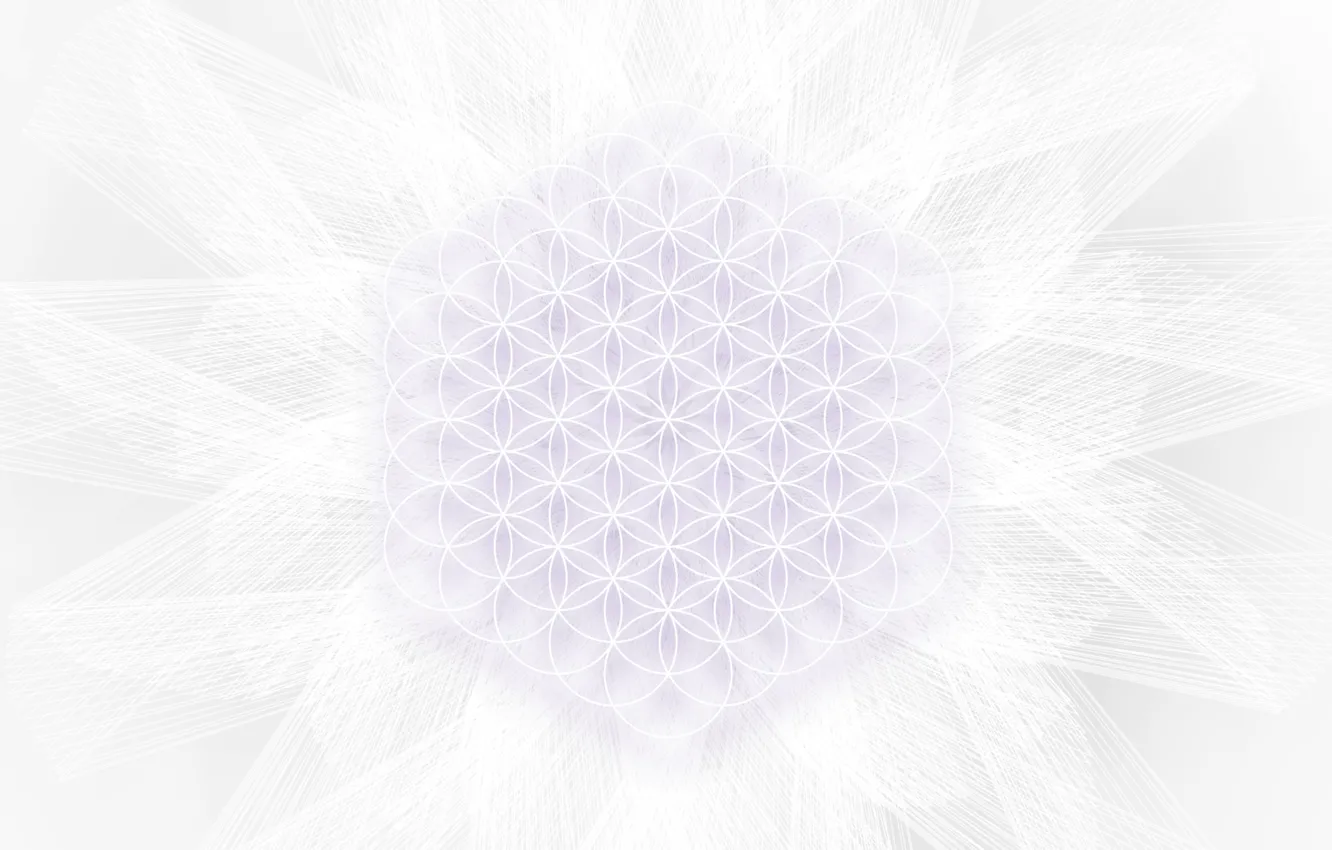 Photo wallpaper abstraction, minimalism, minimal, sacred geometry, the flower of life, sacred geometry