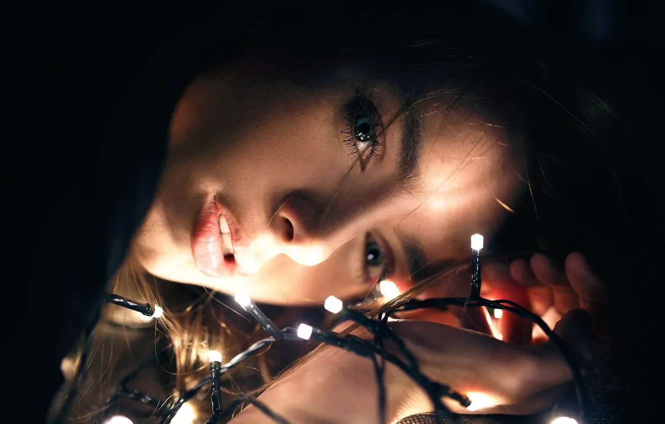 Photo wallpaper macro, sponge, garland, teeth, Victoria Vishnevetskaya