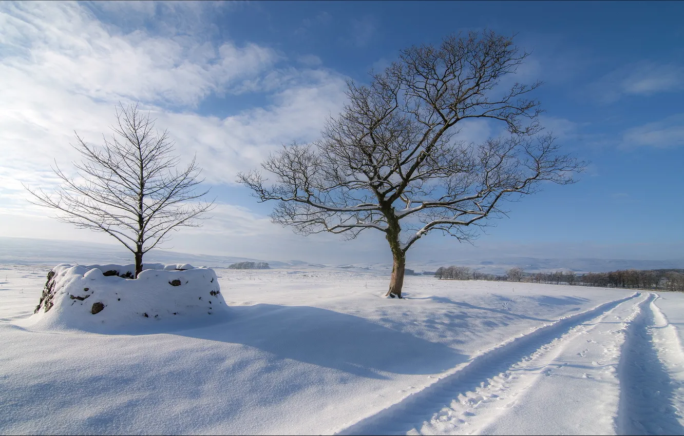 Photo wallpaper winter, road, field