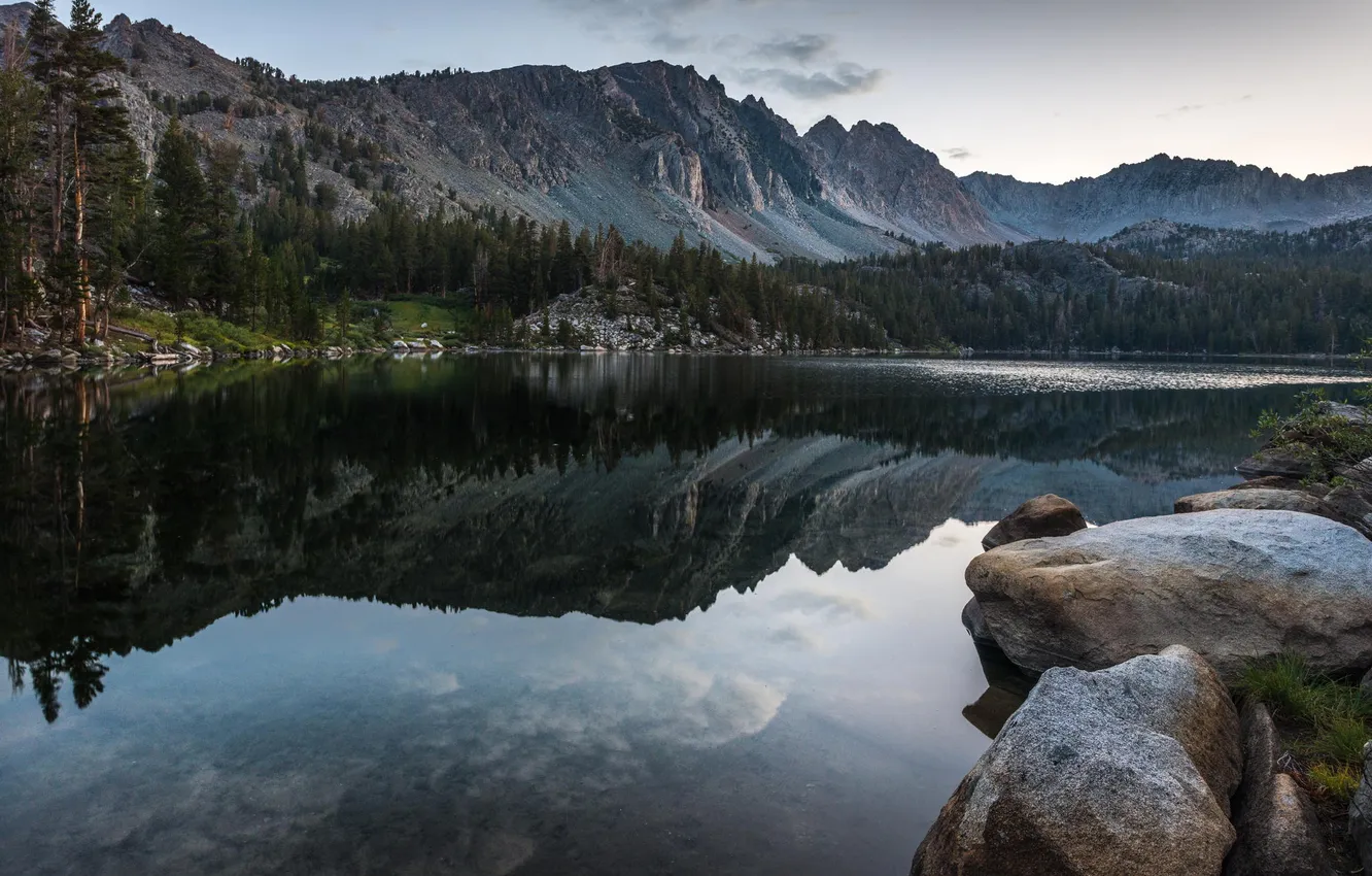 Photo wallpaper forest, trees, landscape, mountains, nature, lake