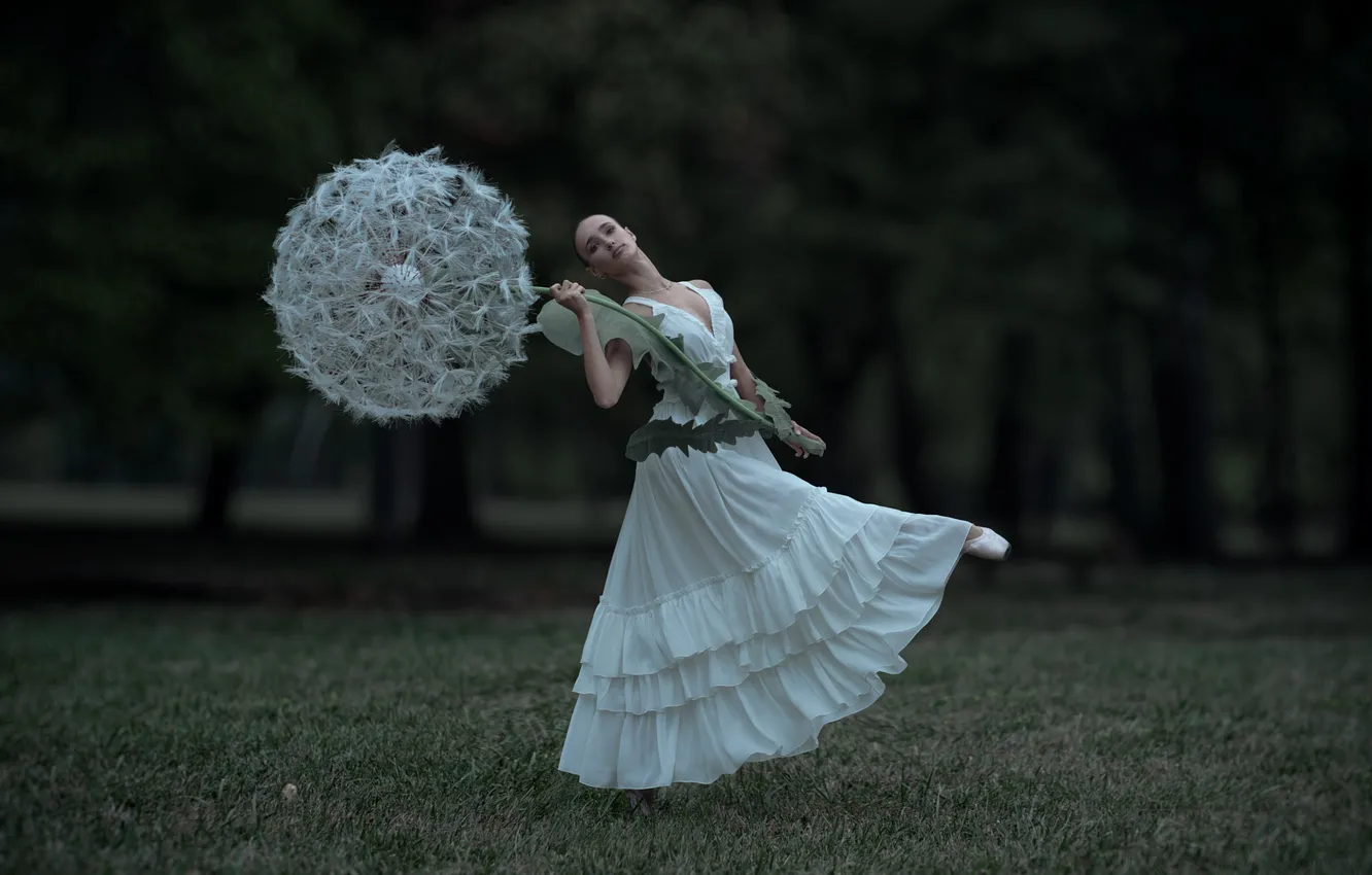 Photo wallpaper forest, girl, flowers, nature, pose, style, Park, the dark background