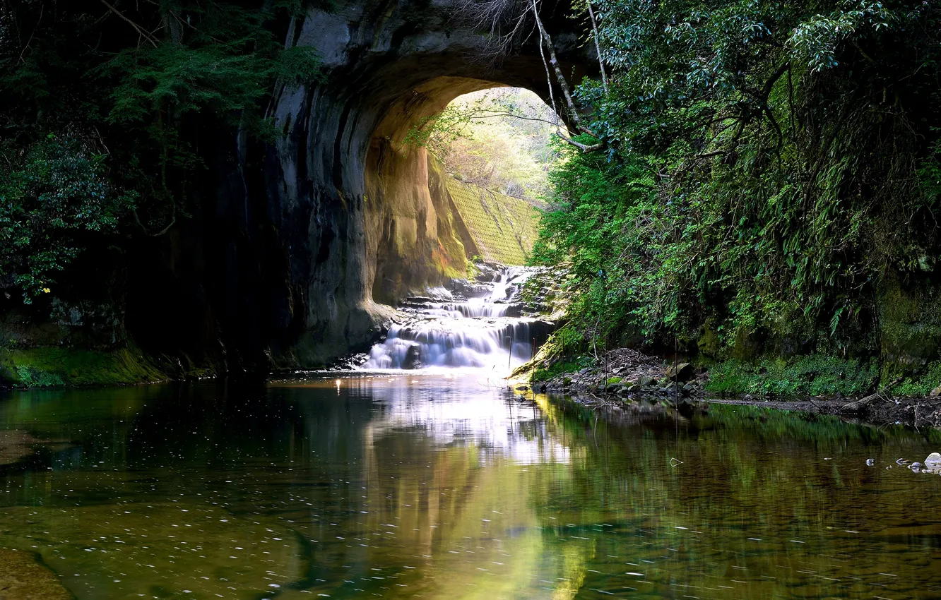 Photo wallpaper greens, water, stream, stones, rocks, waterfall, moss, Japan