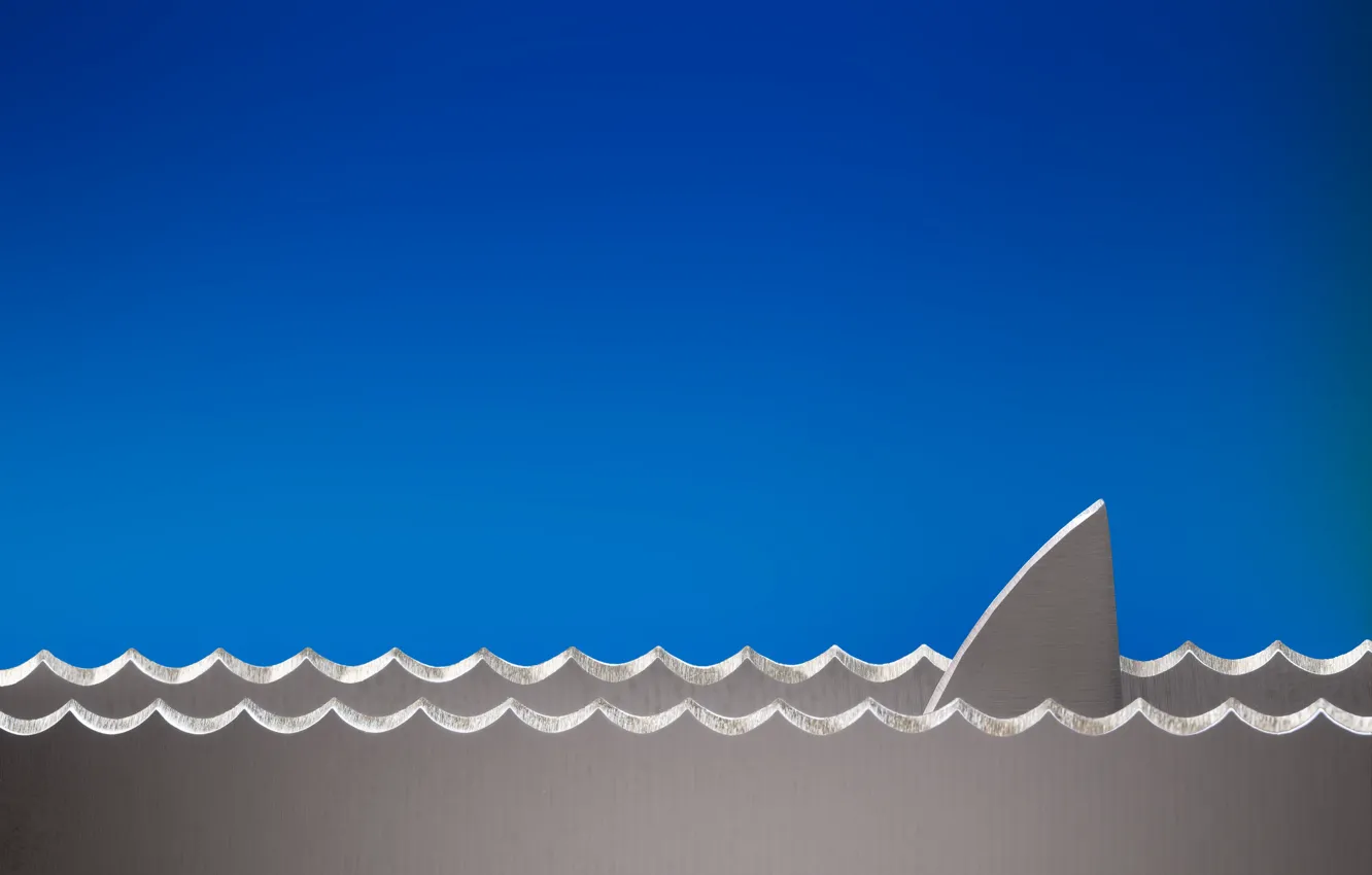 Photo wallpaper wave, waves, knives, fin, fin, knives, Domenico Montemagno