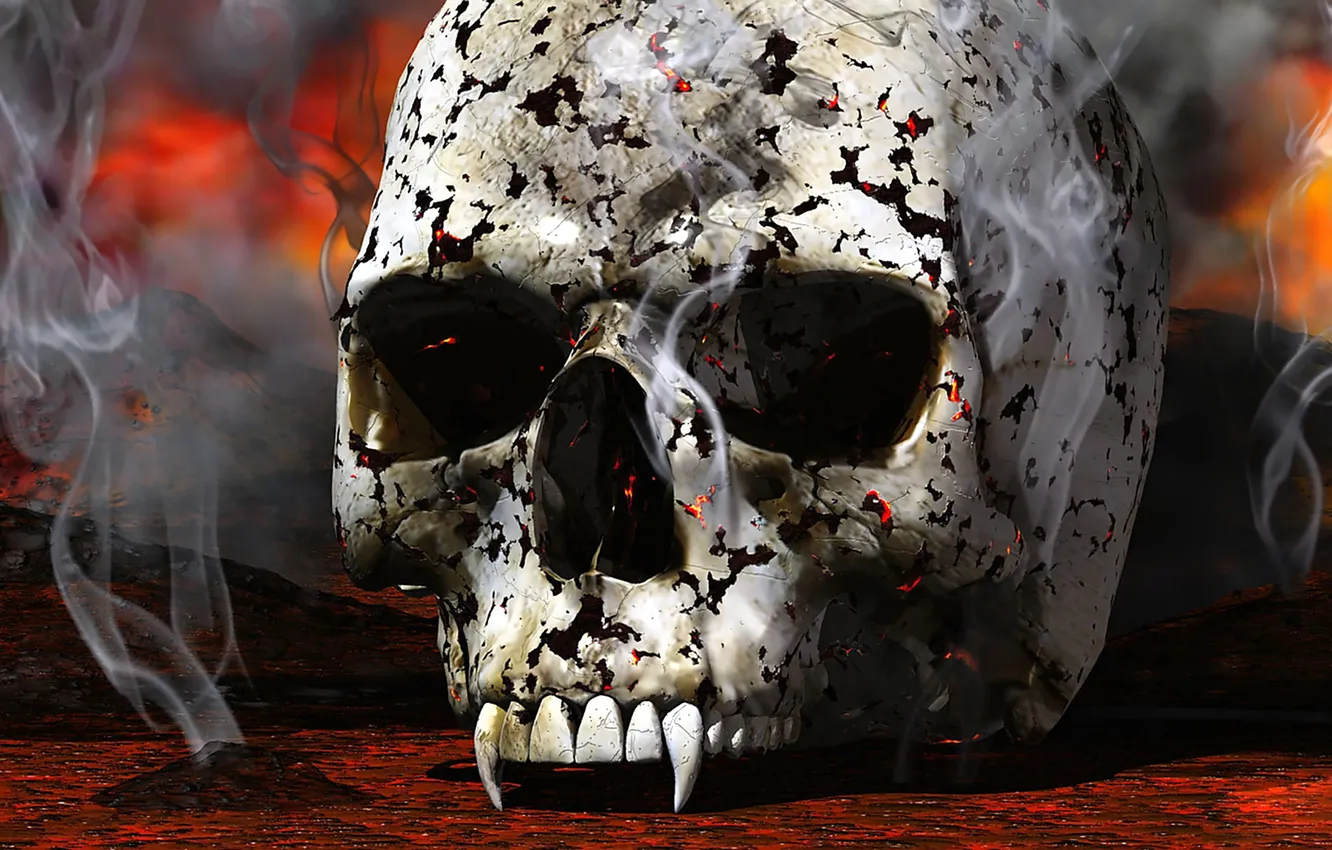 Photo wallpaper fantasy, canines, teetering