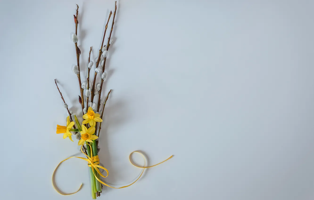 Photo wallpaper flowers, spring, Verba, daffodils