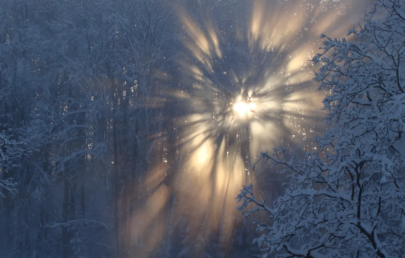 Photo wallpaper winter, snow, sun, Latvia