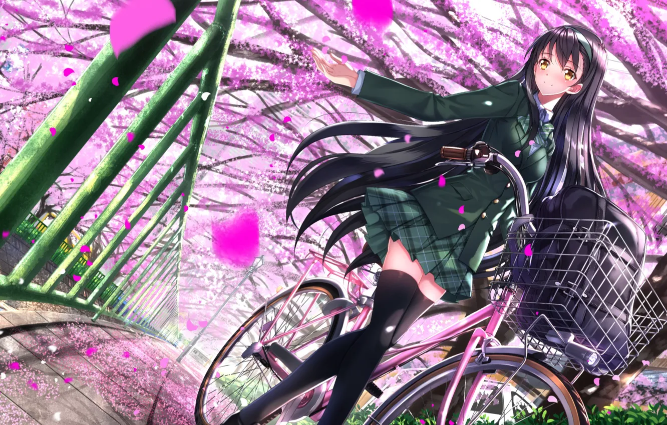 Photo wallpaper girl, trees, bike, anime, petals, Sakura, art, form