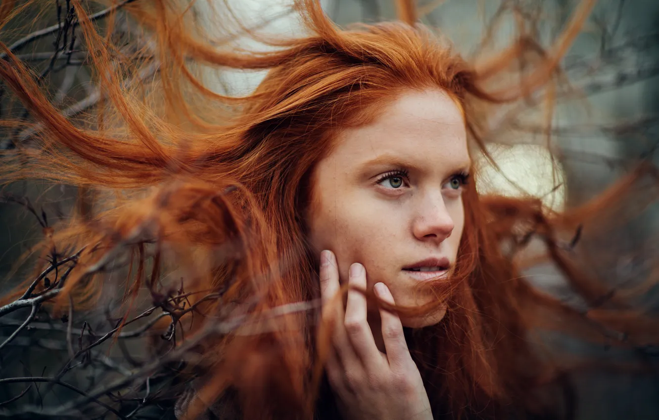 Photo wallpaper redhead, Jesse Duke, BRI