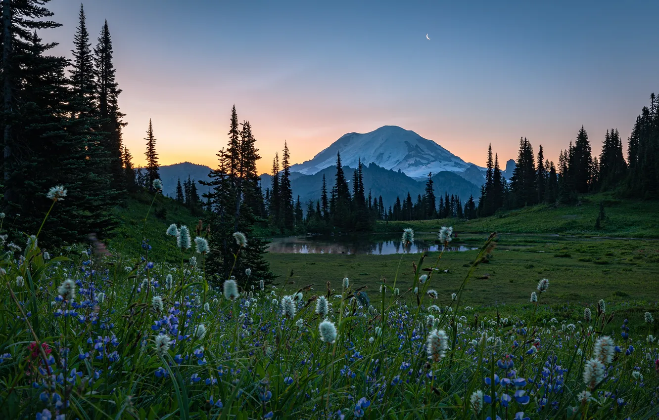 Photo wallpaper field, flowers, mountains, lake, a month, meadow, twilight