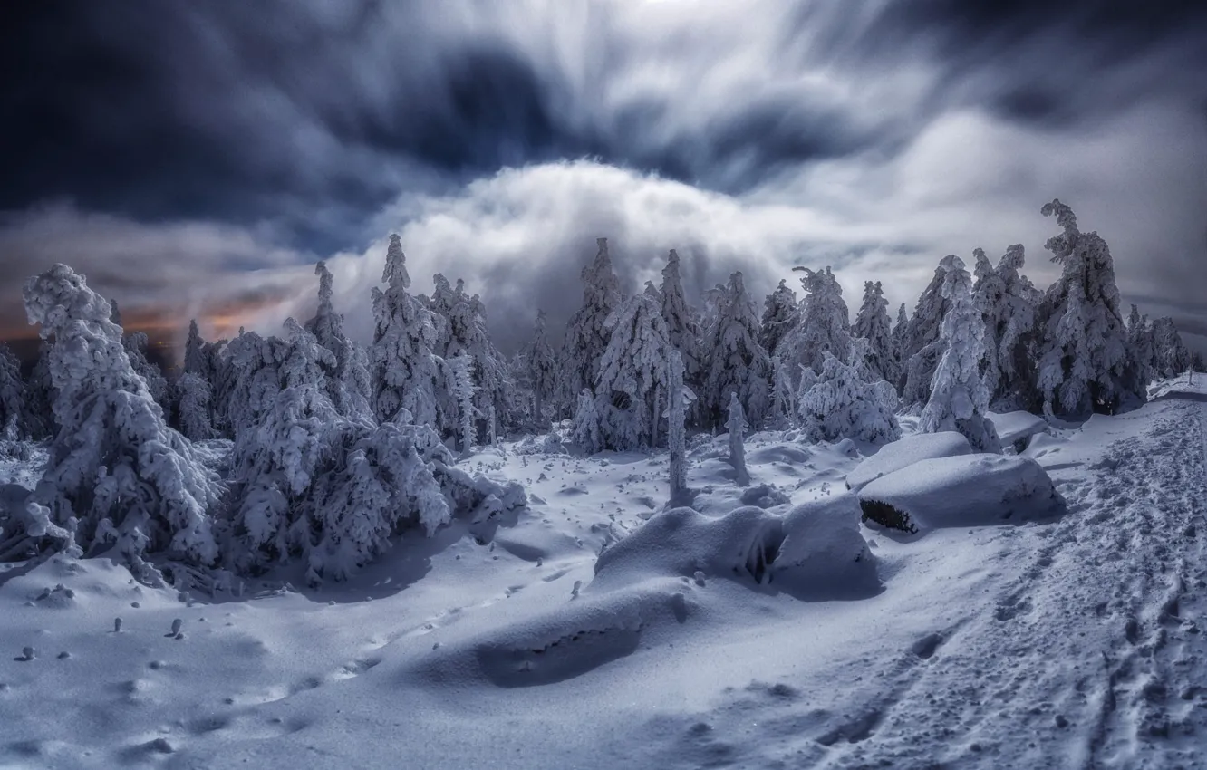 Photo wallpaper winter, clouds, snow, trees, landscape, mountains, nature, Germany