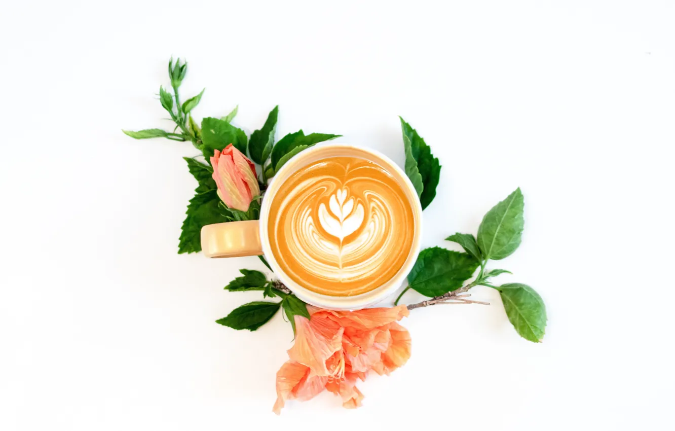 Photo wallpaper flowers, plant, coffee, white background, drink