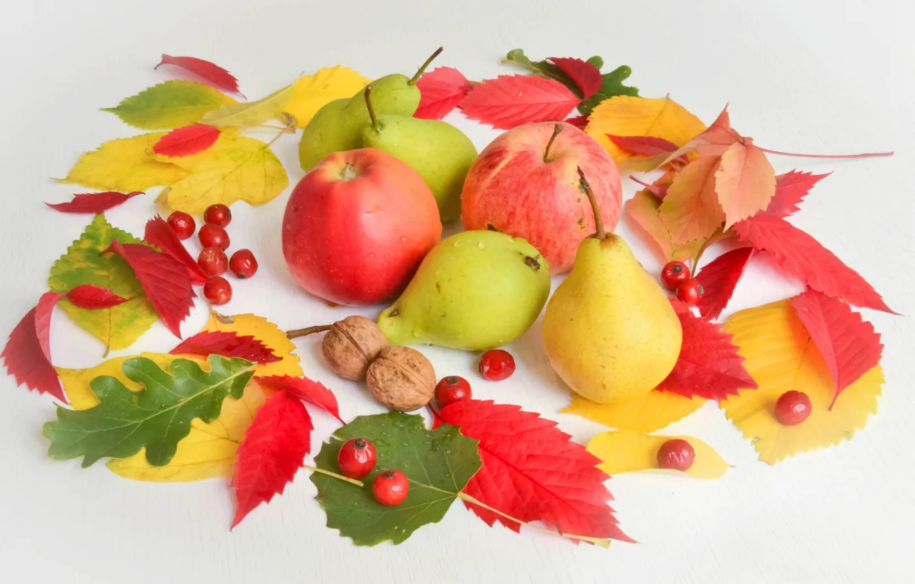 Photo wallpaper autumn, leaves, berries, Apple, pear, nuts, still life