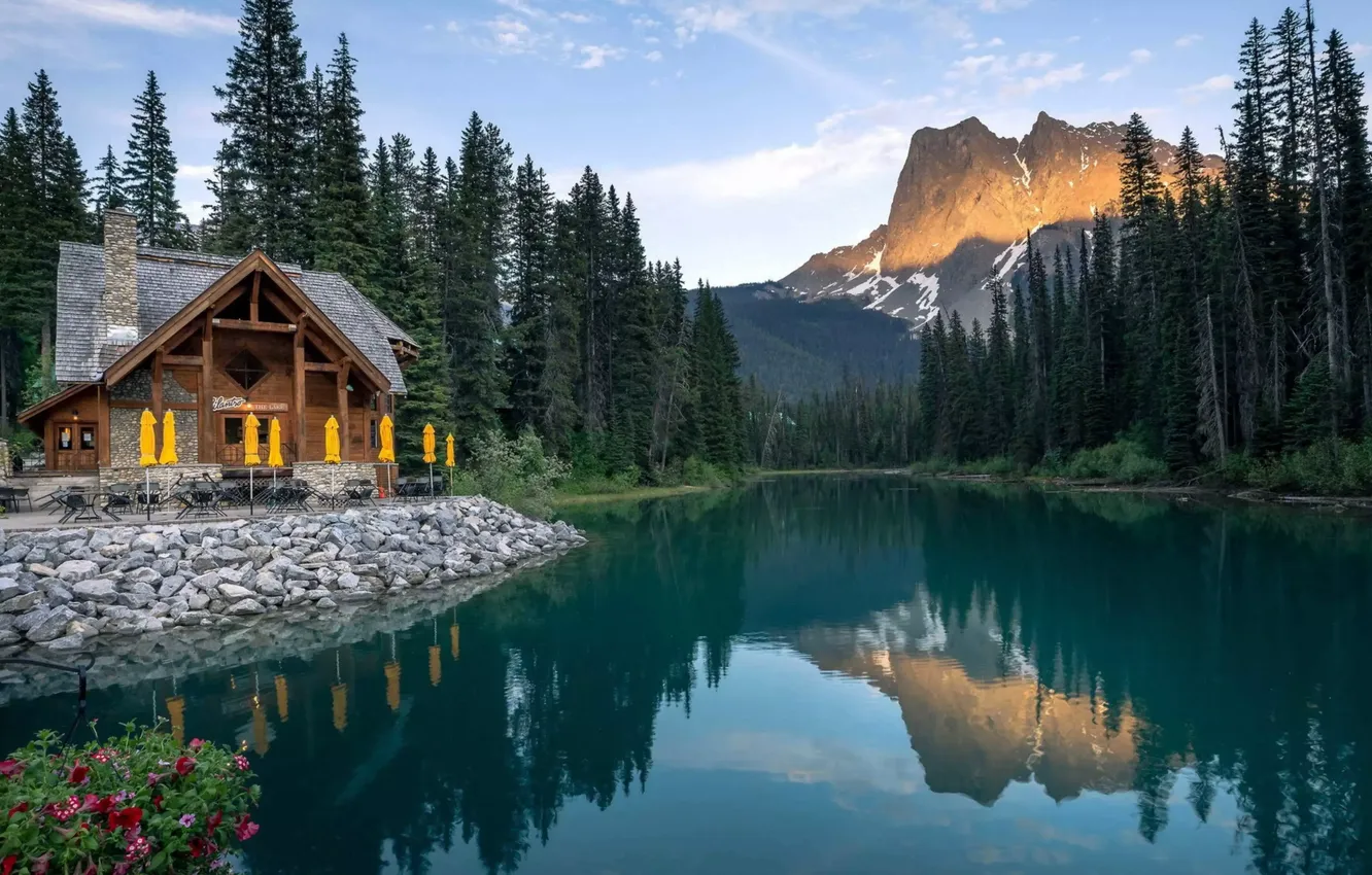 Photo wallpaper forest, the sky, grass, clouds, trees, landscape, flowers, mountains