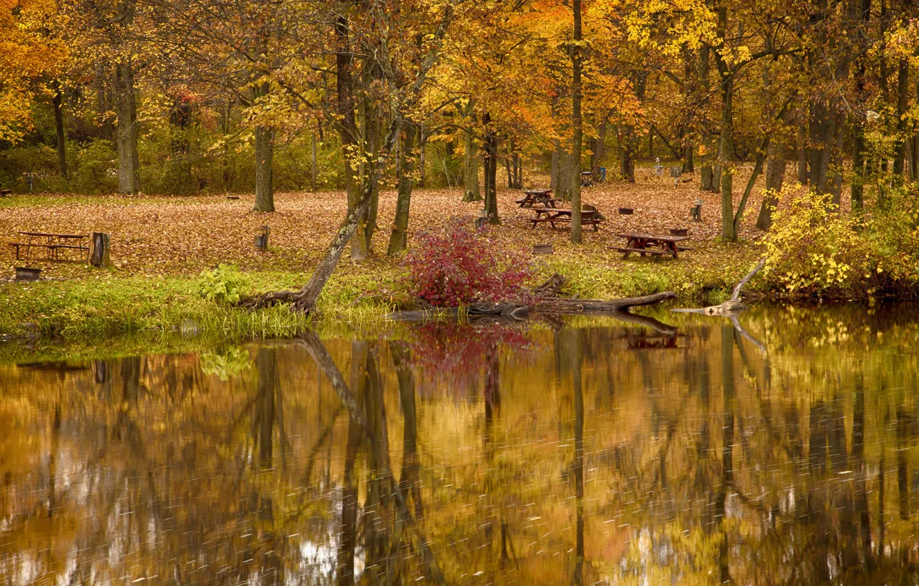 Photo wallpaper autumn, trees, lake, pond, Park, table, bench