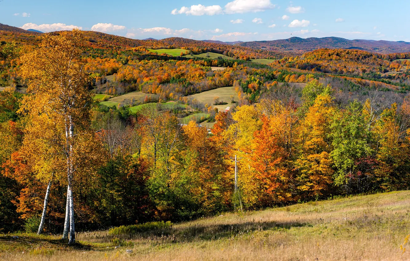 Photo wallpaper autumn, the sun, trees, hills, field, USA, forest, Vermont